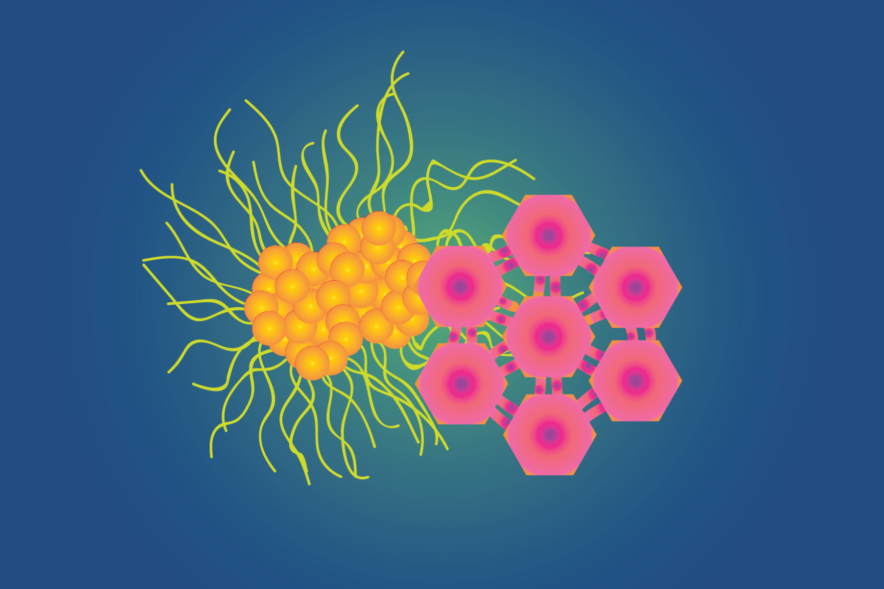 Emily Tayler's HPV and Gonorrhea virus graphic (PNG)